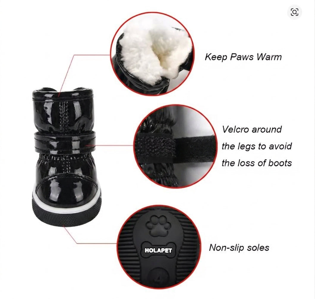 Chihuahua warm shoes for outside