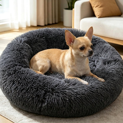 Chihuahua Bed