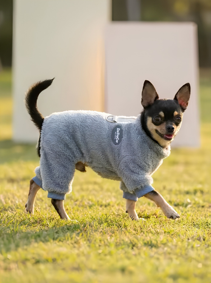 Winter Jumpsuit for Chihuahua