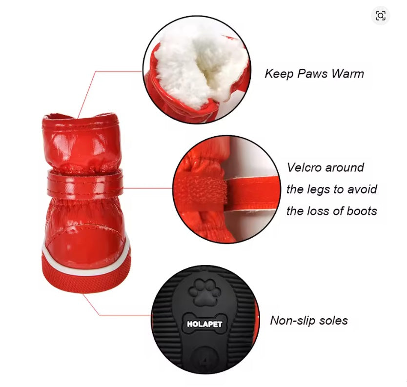 Chihuahua warm shoes for outside